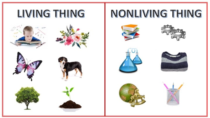Image result for living and non living things