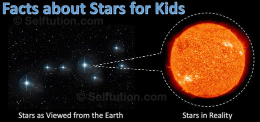 Facts about stars for kids - stars in reality