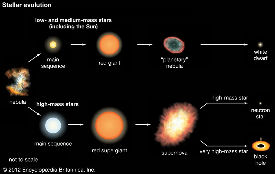 Facts about stars for kids -Lives and Deaths of Stars