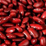 Kidney Bean Seeds - An example of dicotyledon seed