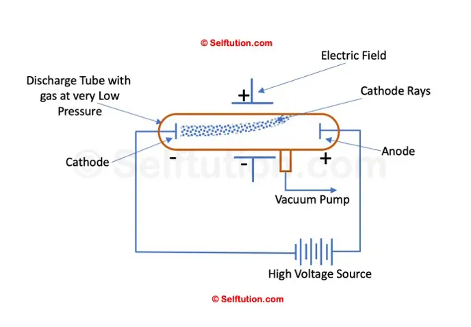 J. J. Thomson discovered that cathode rays consists of negatively charged particles, electrons, therefore rays were deflected towards the positive plate of the electric field.