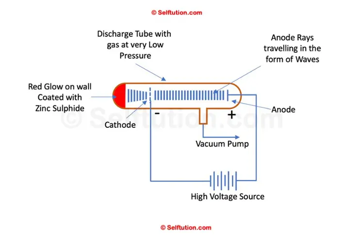 Eugen Goldstein discovered anode rays made of positively charged particles. The conclusions derived by Goldstein helped in better understanding of electrons and finally led to the discovery of protons, neutrons and the nucleus by other scientists.