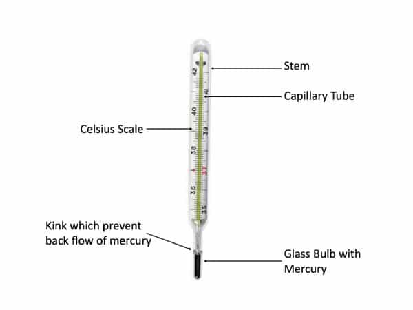 Image depicts various parts of clinical thermometer - stem, capillary tube, glass bulb with mercury and kink which prevent back flow of mercury