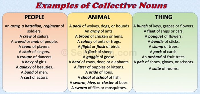 Examples of collective nouns with respect to people, animals, and things