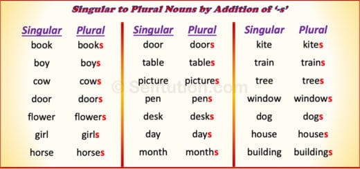 a-huge-list-of-singular-and-plural-nouns-words-onlymyenglish