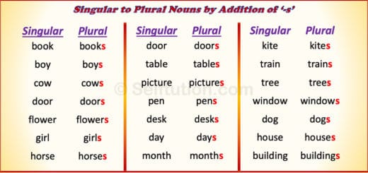 Change The Nouns Into Plural Form