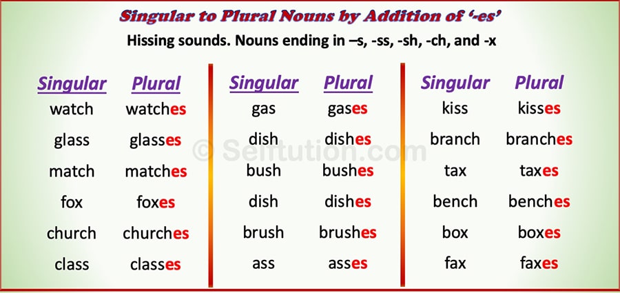  Rules andExamples for changing singular to plural nouns by adding 'es'
