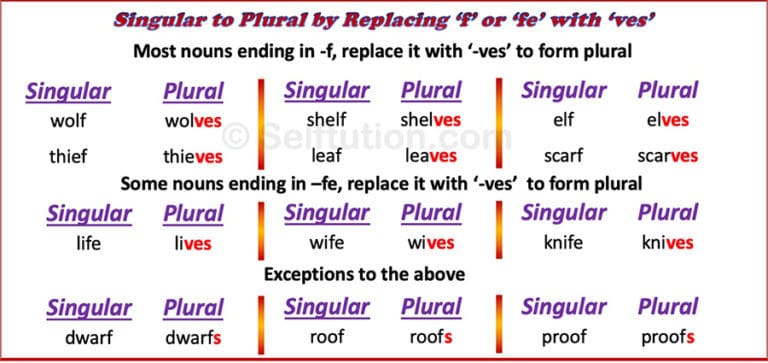 Rules Of Singular And Plural Nouns With Examples Selftution