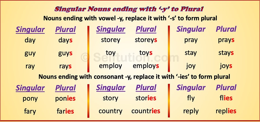 Examples and rules for Singular to Plural Nouns by replacing 'y' with 'ies' or 's'