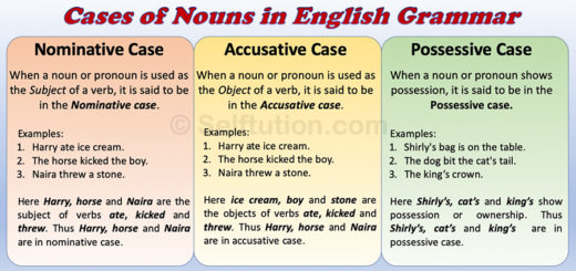 Cases of Nouns in English Grammar - Nominative Case, Objective or Accusative Case and Possessive Case with Examples