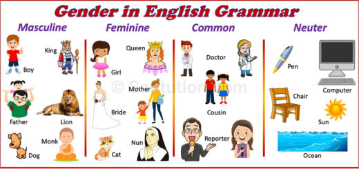 Examples of Gender in English Grammar - masculine, feminine, common, and neuter gender