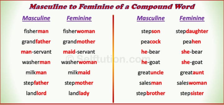 gender-in-english-masculine-feminine-common-neuter-selftution