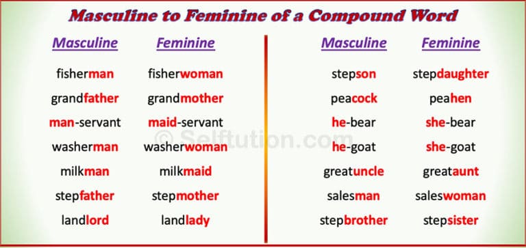 Gender In English - Masculine, Feminine, Common & Neuter » Selftution