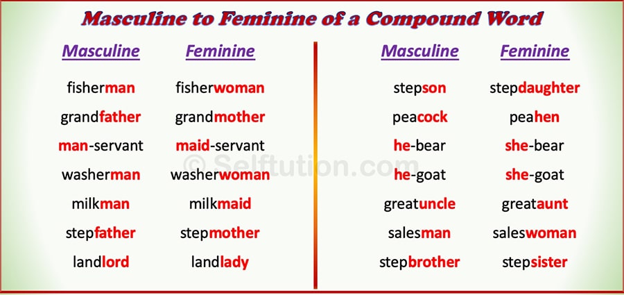 Examples of masculine to feminine gender in English grammar for a Compound Word