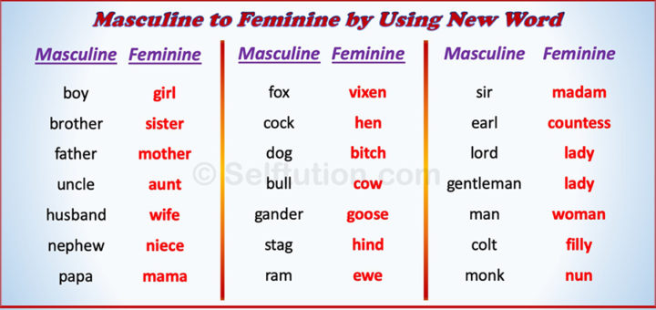 Gender in English - Masculine, Feminine, Common & Neuter » Selftution