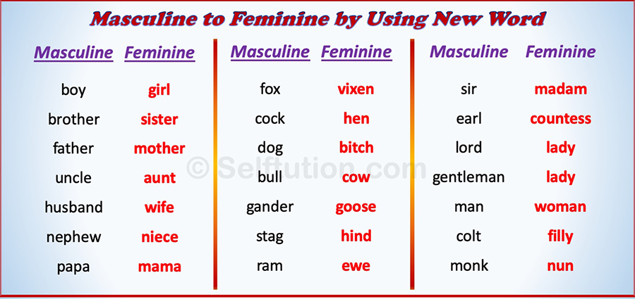 Examples of masculine to feminine gender in english grammar by using new word