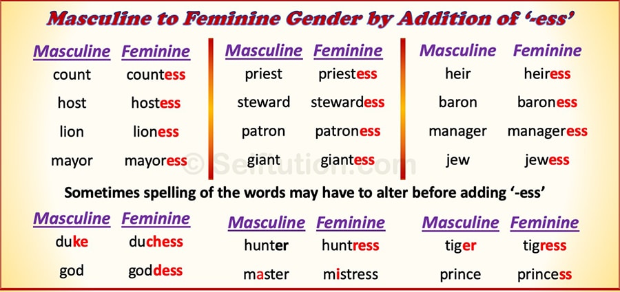 Gender Of Nouns In English Grammar Masculine And Femi - Vrogue.co