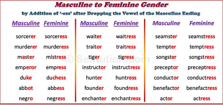 List Of Masculine And Feminine Gender Words You Must Know Gender Hot