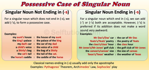 formation-of-possessive-case-in-english-with-examples-selftution