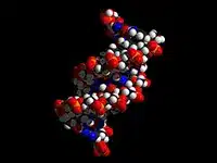 Representation of DNA