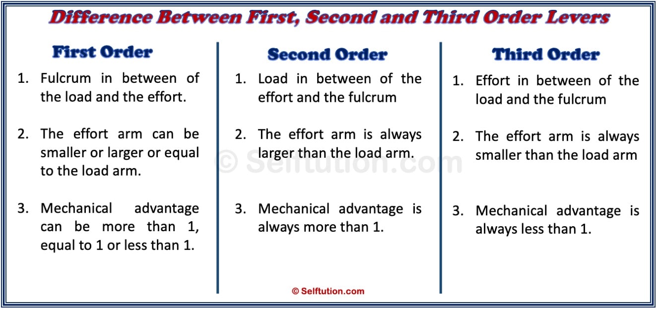 Types of Levers First, Second & Third Order Examples » Selftution