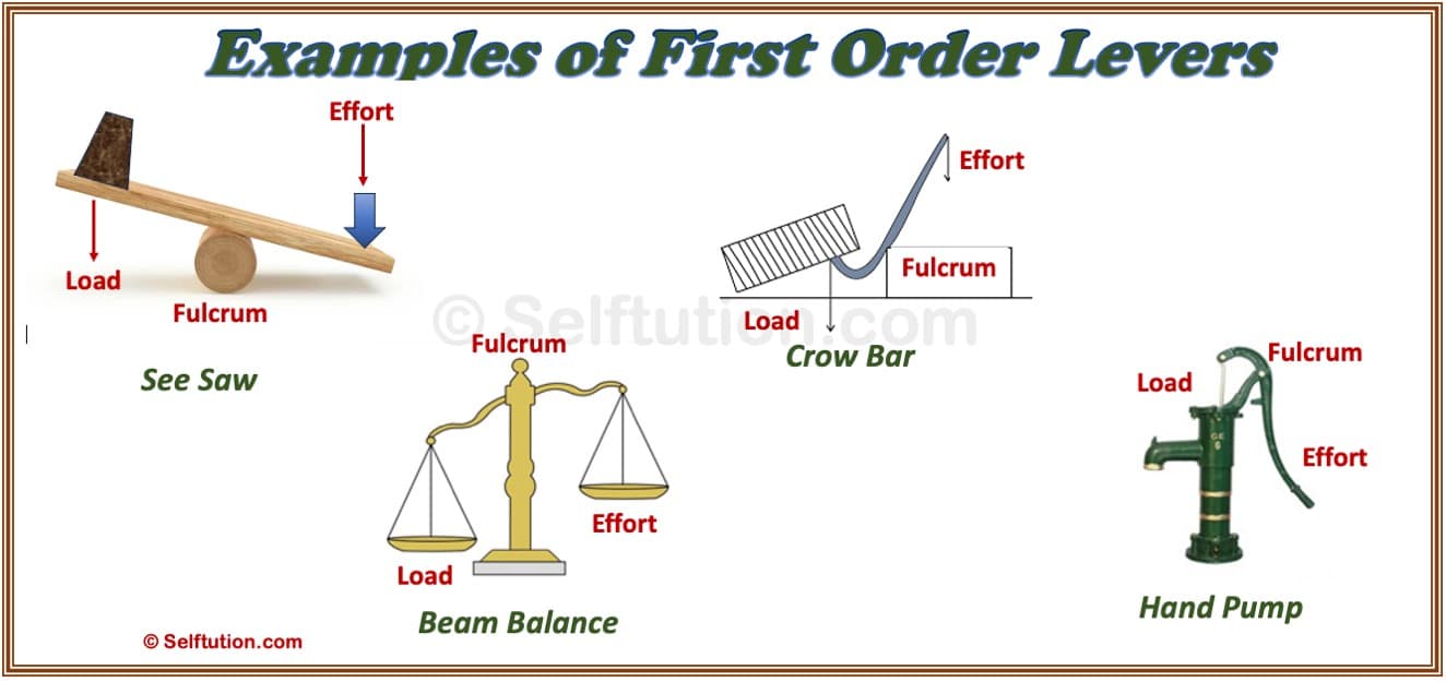 Examples Of All Classes Of Levers at Sammy Thompson blog