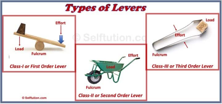 Examples of three types of levers - first, second, and third order levers