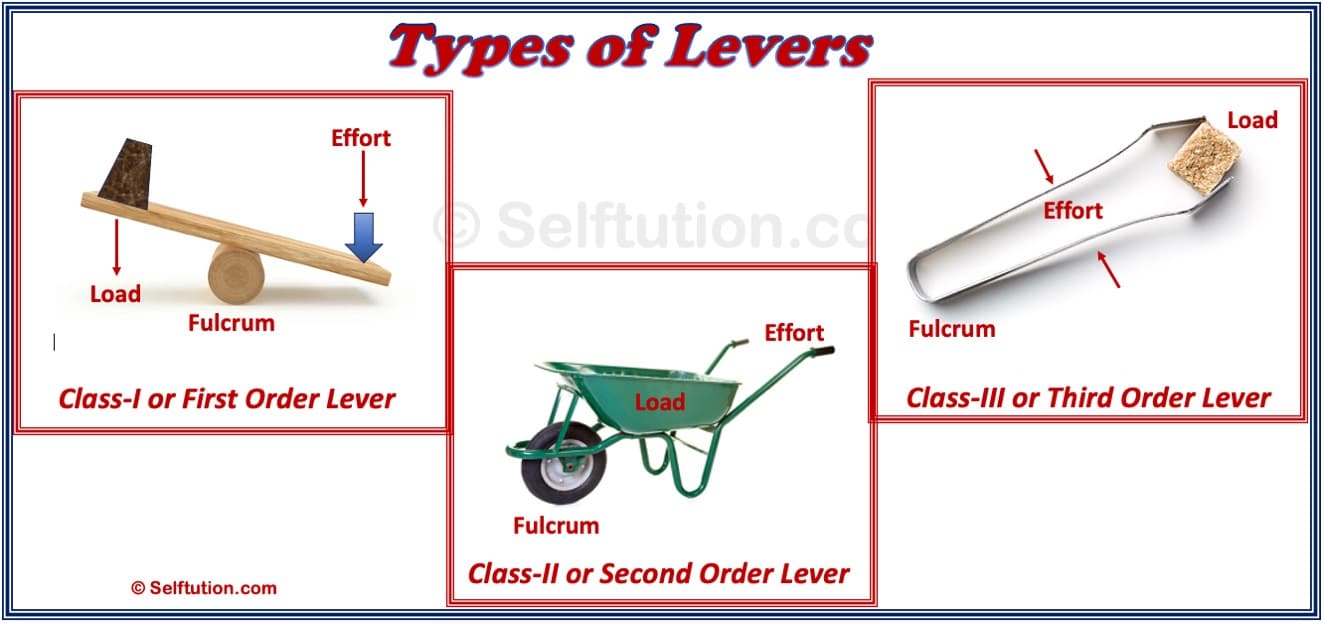 Types Of Levers First Second Third Order Examples 42 OFF