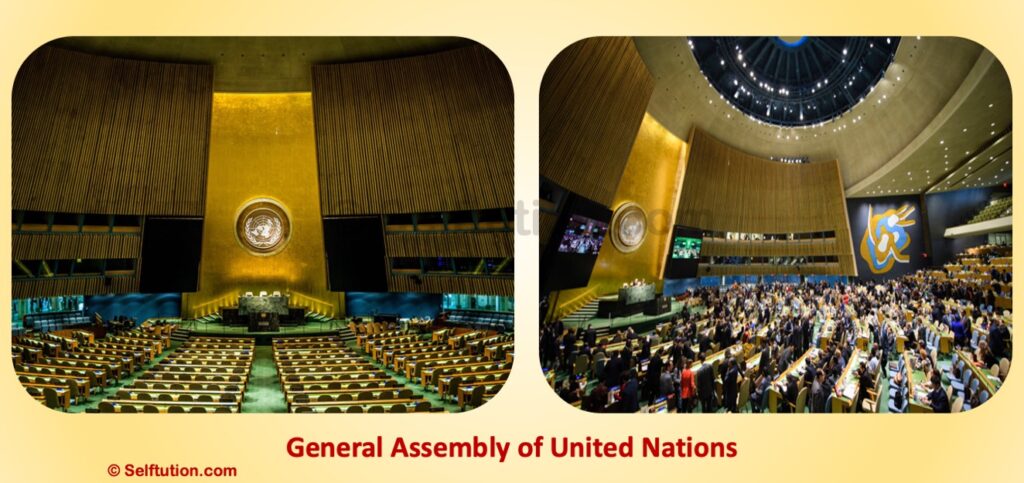 A view of General Assembly of the United Nations