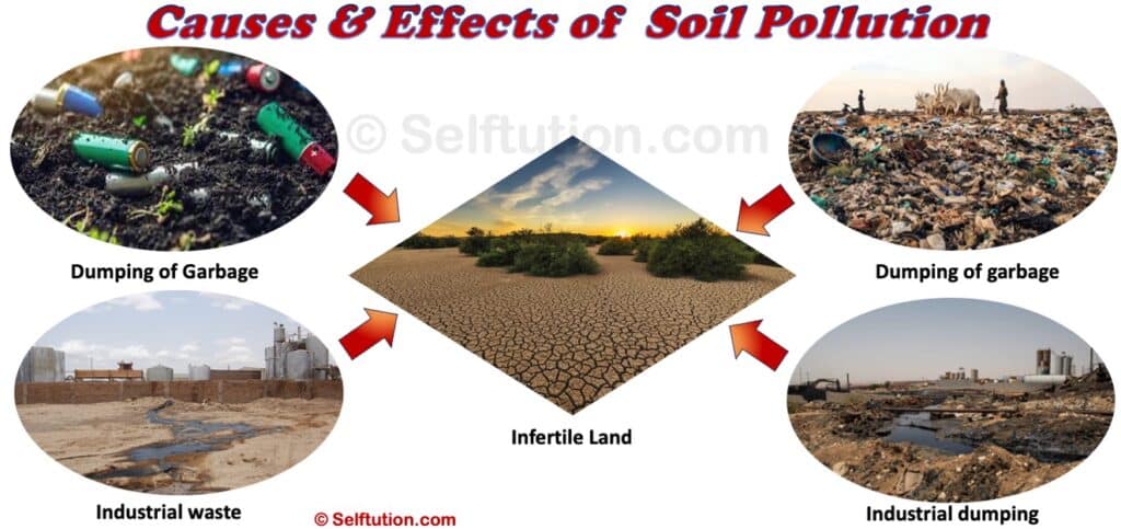 Causes and the effect of Soil Pollution