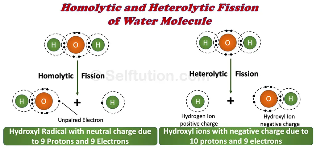 Homolytic and heterolytic fission of water molecule