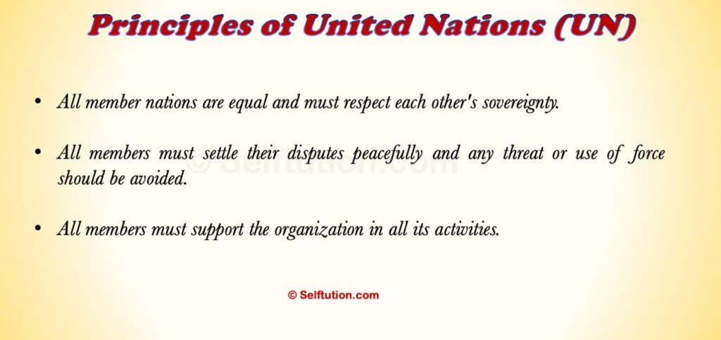 Principles of the United Nations (UN)