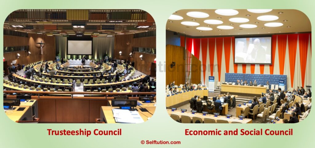 Two major organs of the United Nations - Trusteeship Council and Economic and Social Council