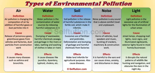 Types of environmental pollution, definition, cause and effects - air pollution, water pollution, noise pollution, soil pollution, light pollution