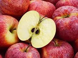 Apple seeds are enclosed inside a fruit