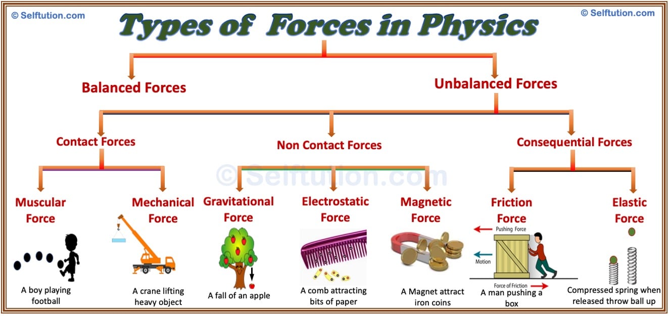 Types of Forces in Physics with Examples » Selftution