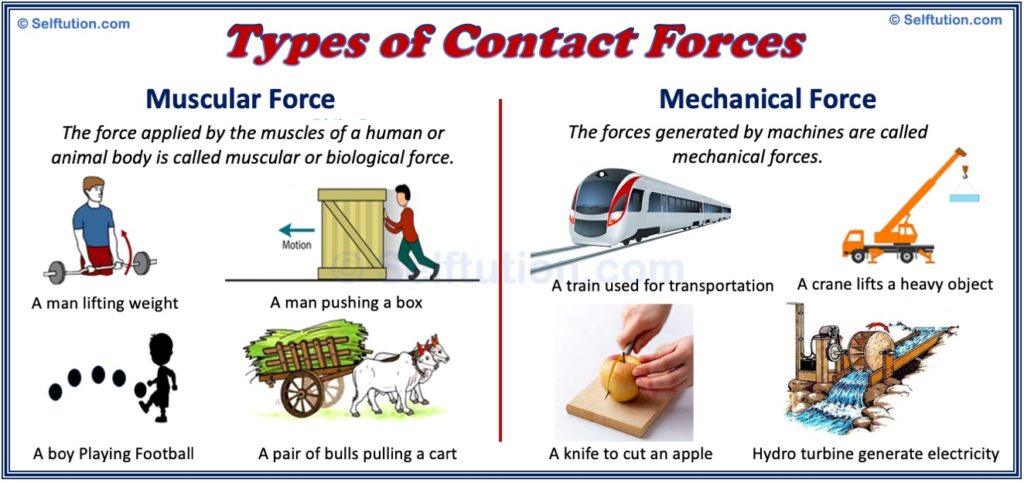 Types of Contact Forces with examples - muscular force and mechanical force