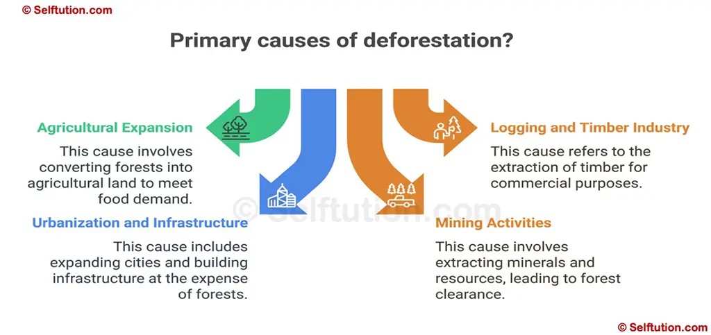 Deforestation Causes and Effects on Environment