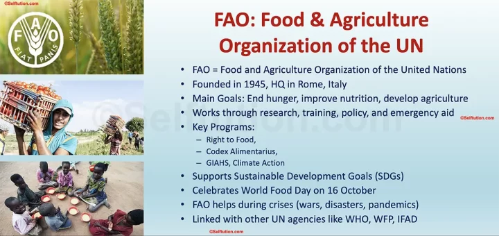 FAO - The Food & Agriculture Organization of United Nations (UN)