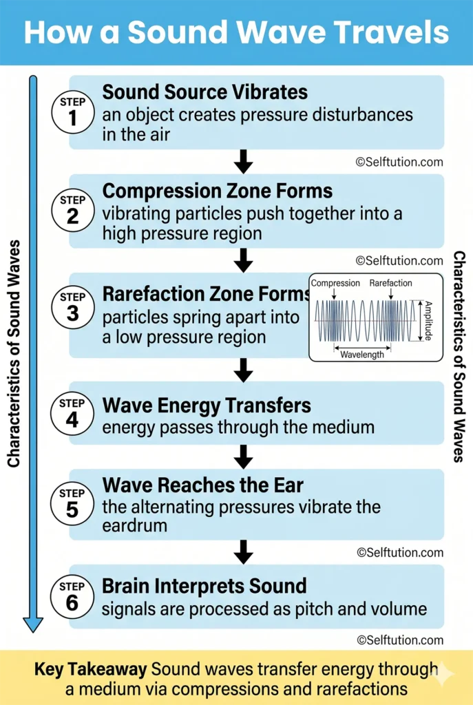 Step-by-step process infographic showing how characteristics of sound waves travel from source to ear through compression and rarefaction
