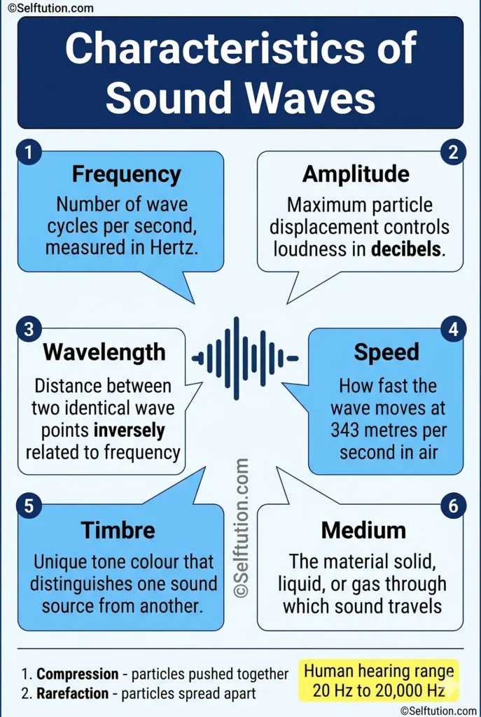 Overview infographic showing all 5 characteristics of sound waves including frequency, amplitude, wavelength, speed and timbre