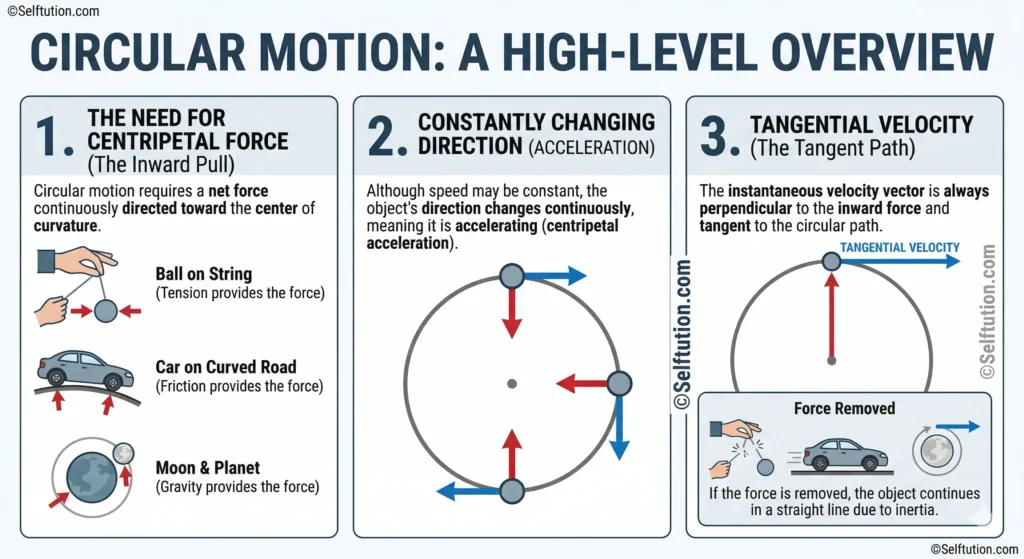 Motion in Physics overview showing speed and velocity in real life