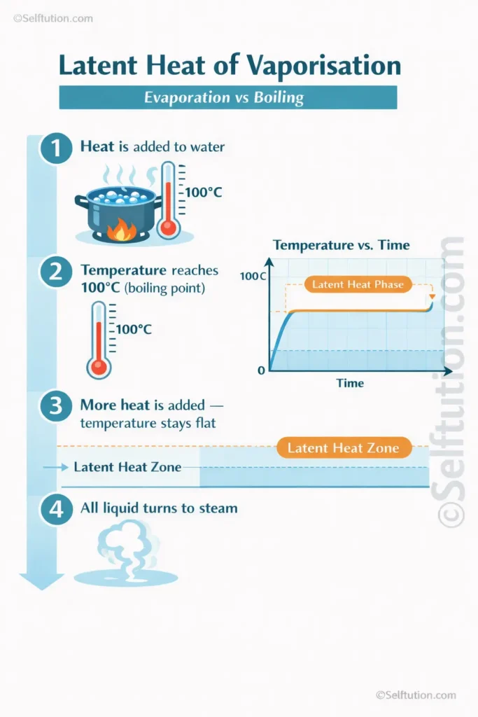 Latent heat of vaporisation infographic showing step-by-step boiling process and temperature plateau for students