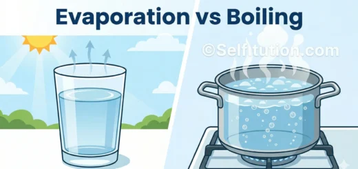 Evaporation vs Boiling hero image showing surface evaporation and bulk boiling side by side