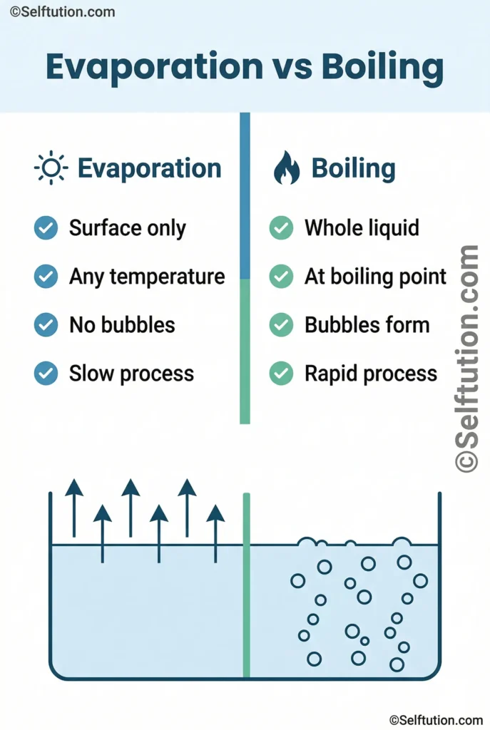 Evaporation vs Boiling overview infographic showing key differences in a two-column layout for students