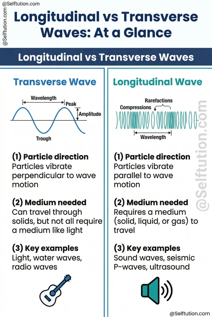 Longitudinal vs transverse waves overview infographic showing particle motion direction